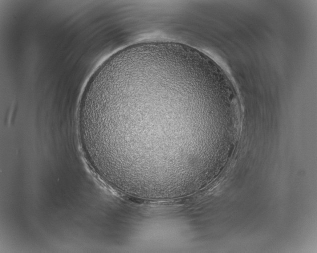 X0000056351008200509091551