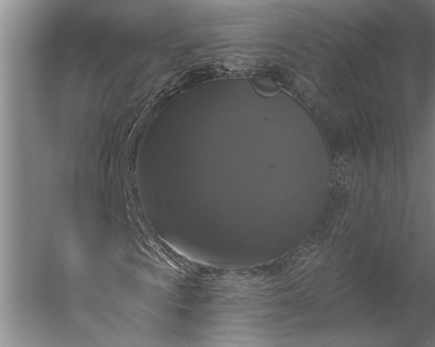 X0000056351009200509091550