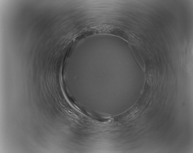 X0000056351010200509091550