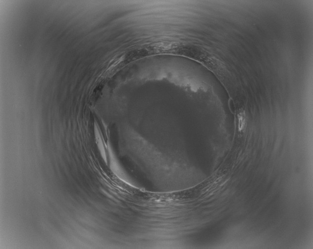 X0000056351011200509091550