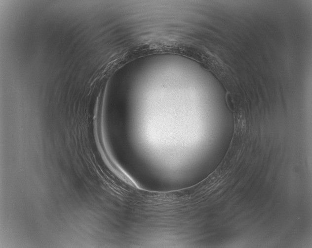 X0000056351012200509091550