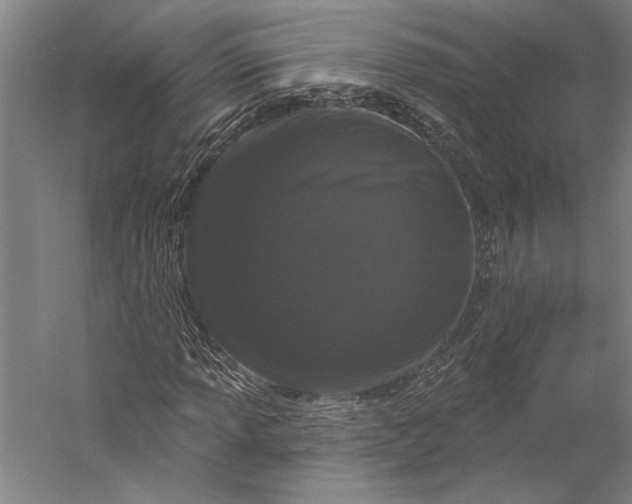 X0000056351013200509091550