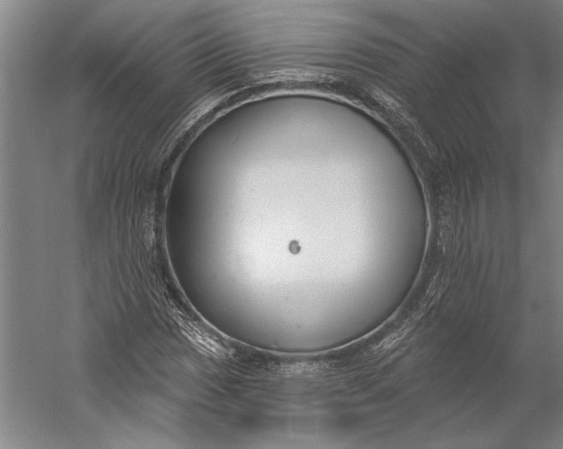 X0000056351017200509091551