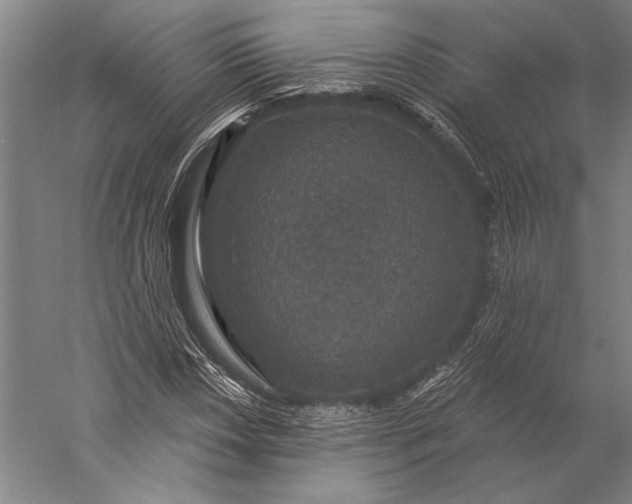 X0000056351018200509091551