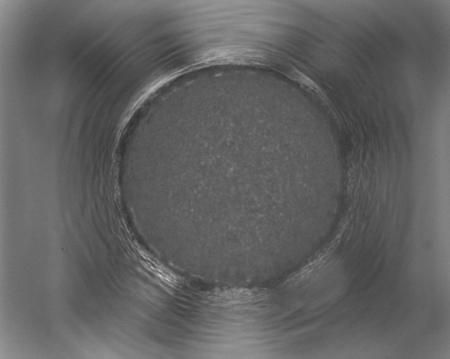 X0000056351019200509091551