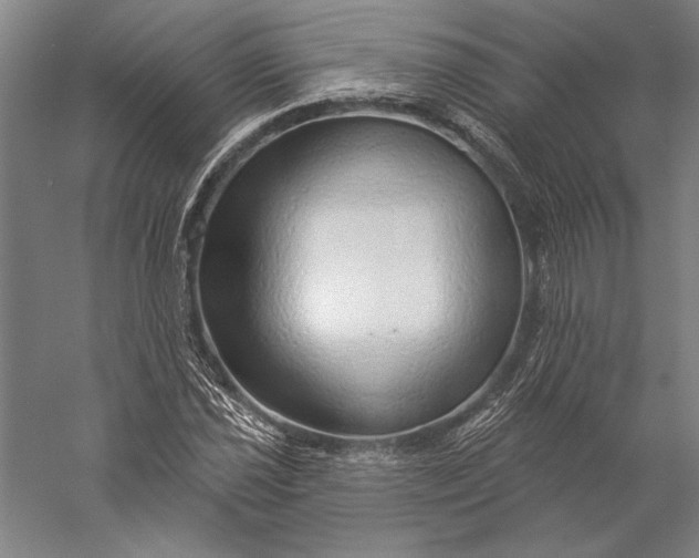 X0000056351021200509091551