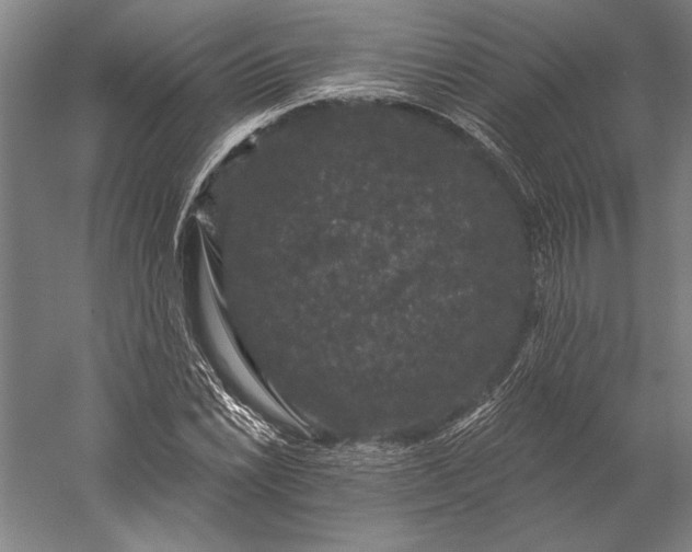 X0000056351022200509091551