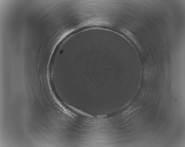 X0000056351024200509091551