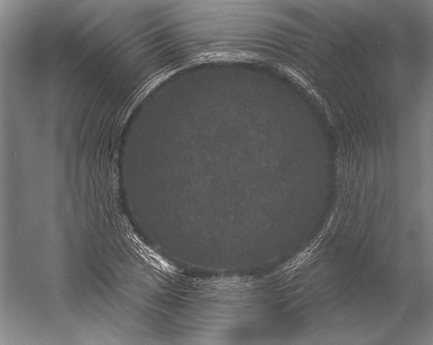 X0000056351025200509091551