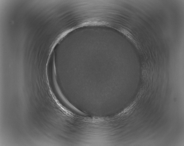 X0000056351030200509091551