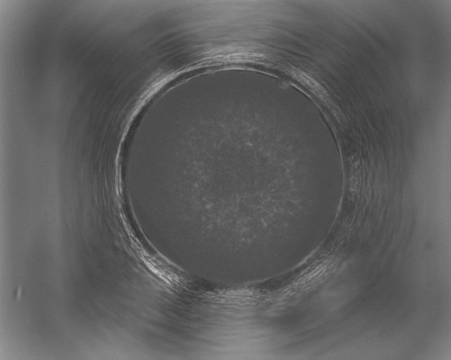 X0000056351031200509091551