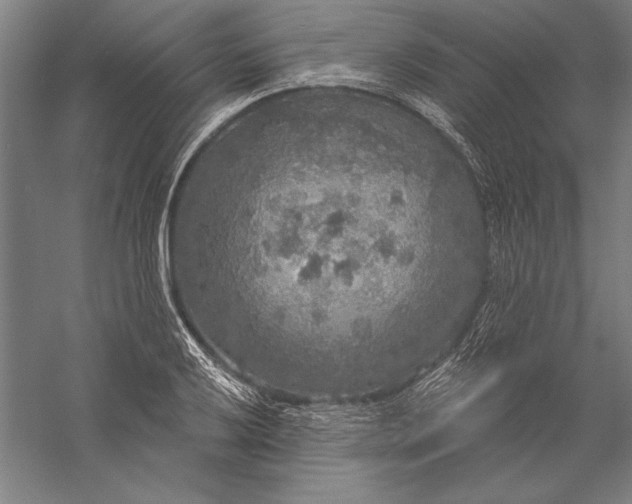 X0000056351032200509091551