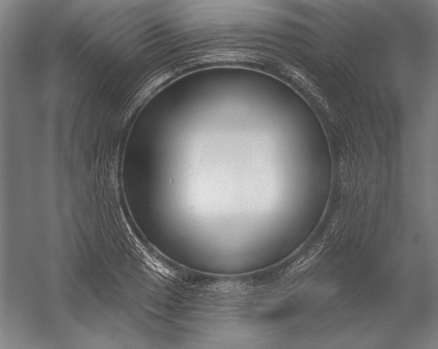 X0000056351033200509091551