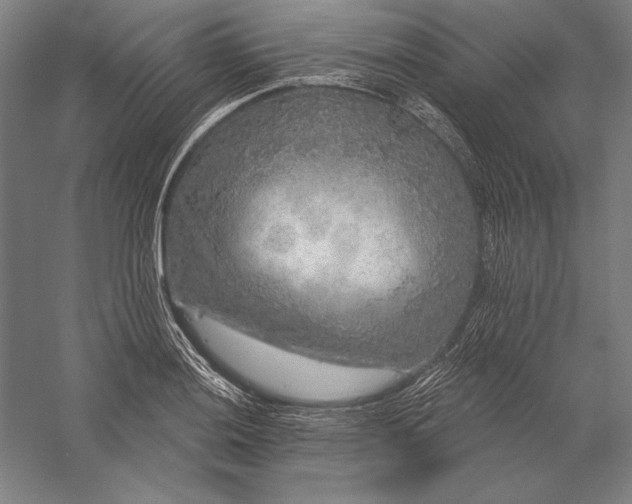 X0000056351036200509091551