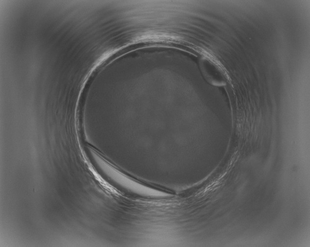 X0000056351037200509091551