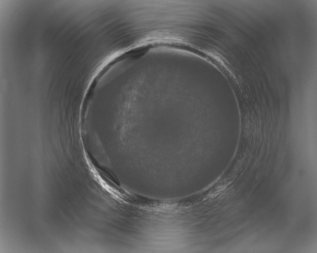 X0000056351038200509091551