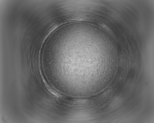 X0000056351039200509091551