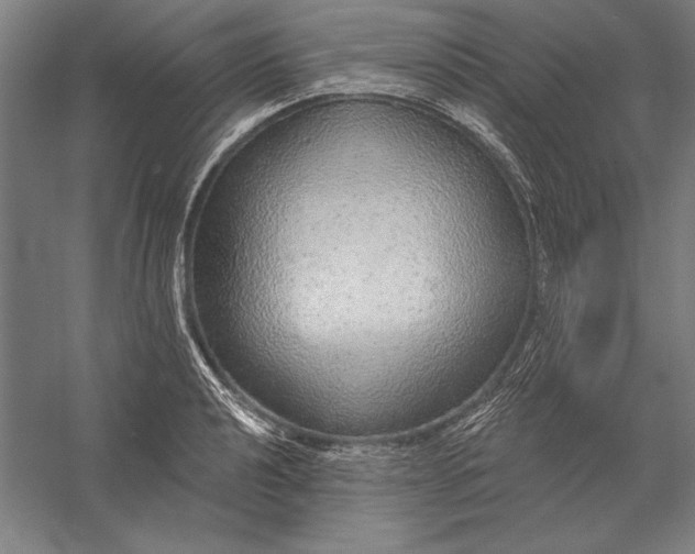 X0000056351040200509091551