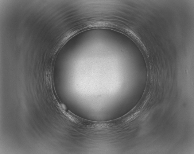 X0000056351041200509091551