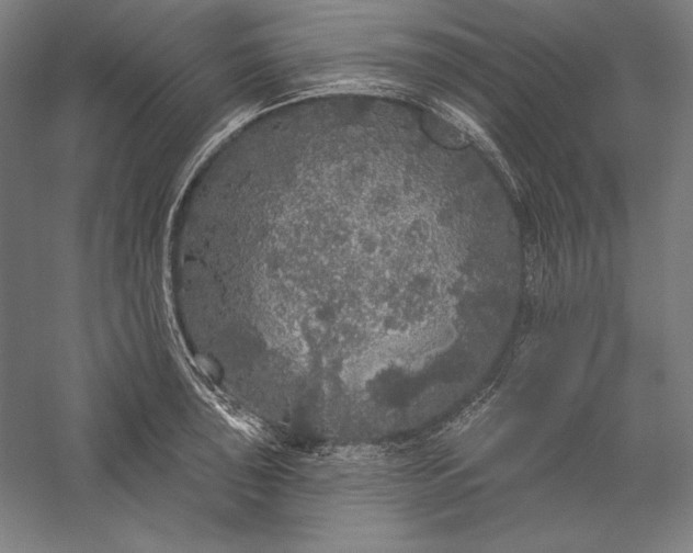 X0000056351043200509091551