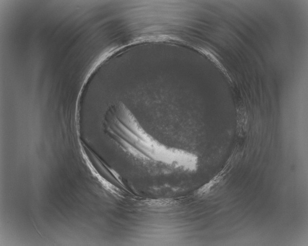 X0000056351046200509091551