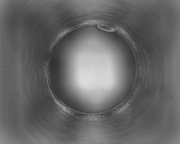 X0000056351049200509091551