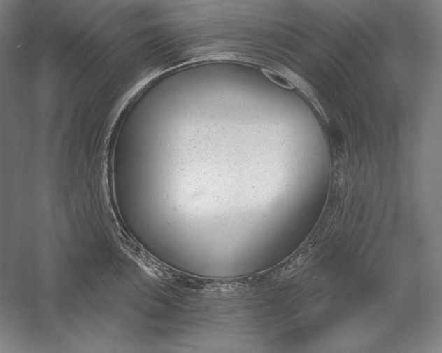 X0000056351051200509091551