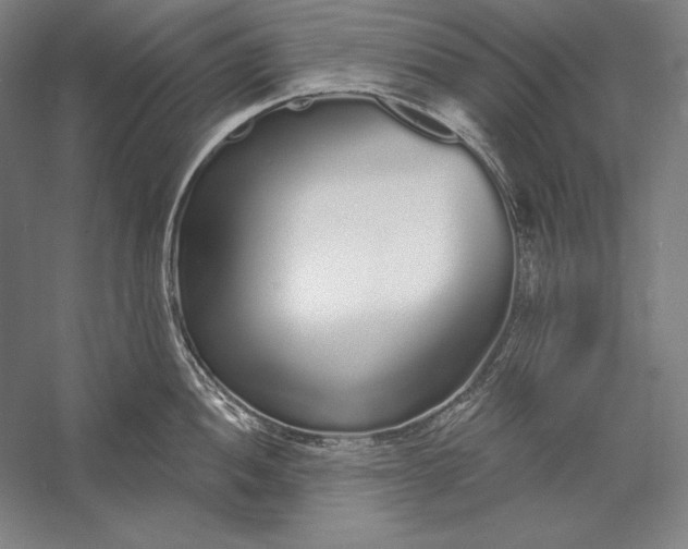 X0000056351052200509091551