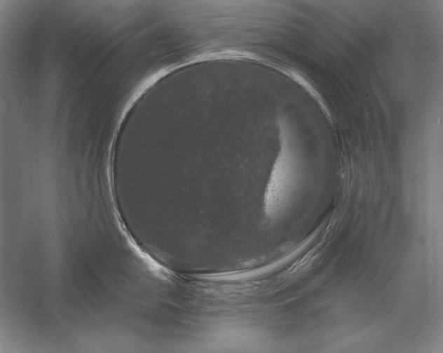 X0000056351054200509091551