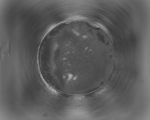 X0000056351055200509091551