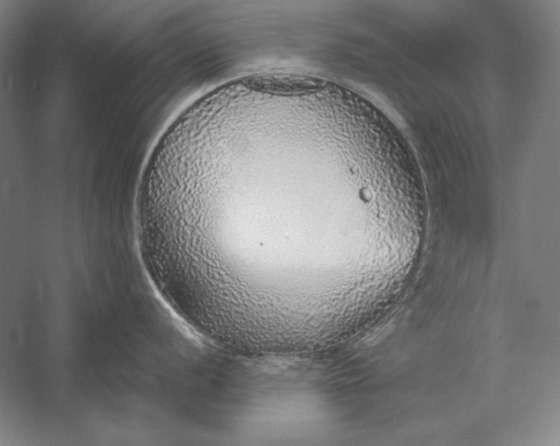 X0000056351056200509091551