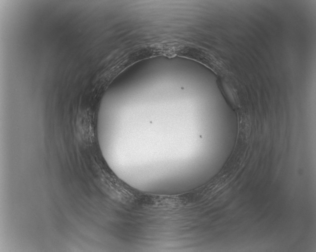 X0000056351058200509091550