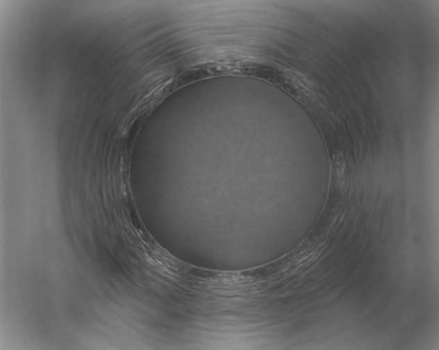 X0000056351060200509091550