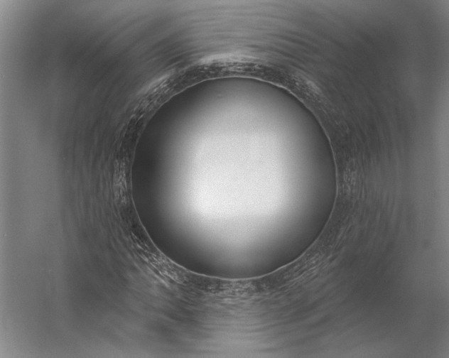 X0000056351062200509091550