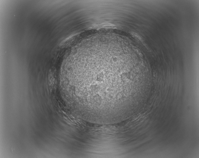 X0000056351063200509091550