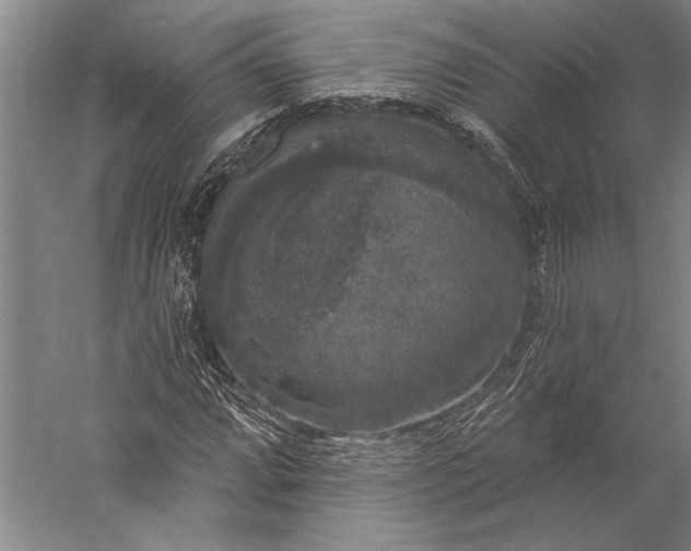 X0000056351064200509091550