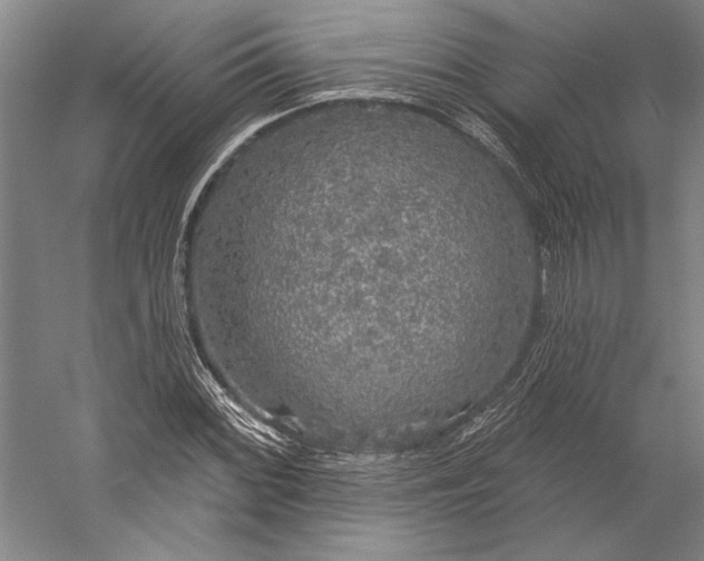 X0000056351068200509091550