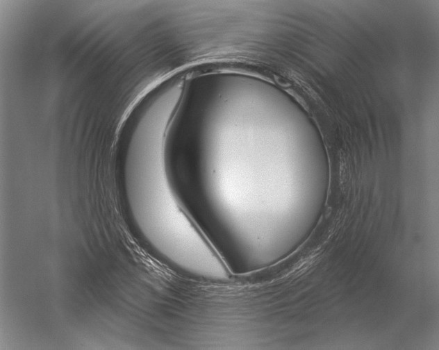 X0000056351069200509091550