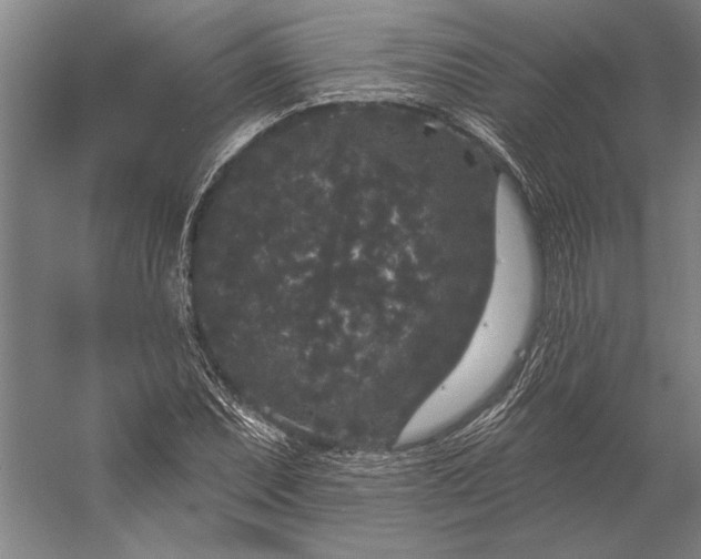 X0000056351071200509091550