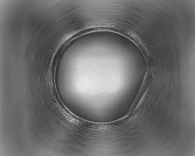 X0000056351072200509091550