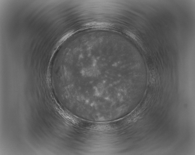 X0000056351074200509091550