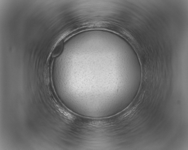 X0000056351075200509091550