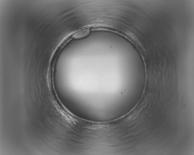 X0000056351076200509091550