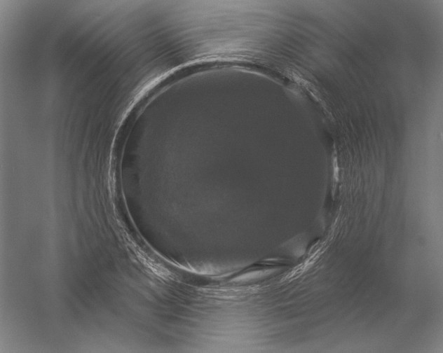 X0000056351077200509091550