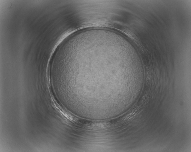 X0000056351078200509091550