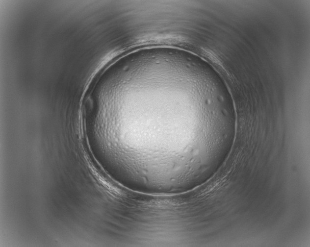 X0000056351079200509091550