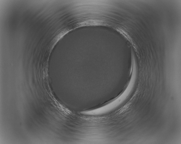 X0000056351081200509091550