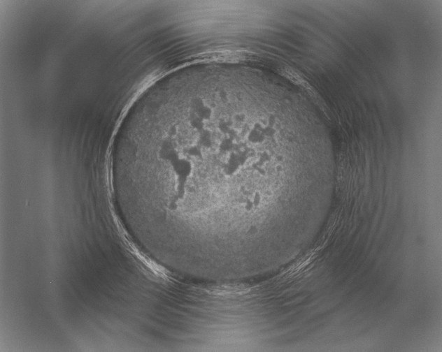 X0000056351083200509091550