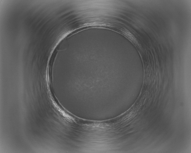 X0000056351084200509091550