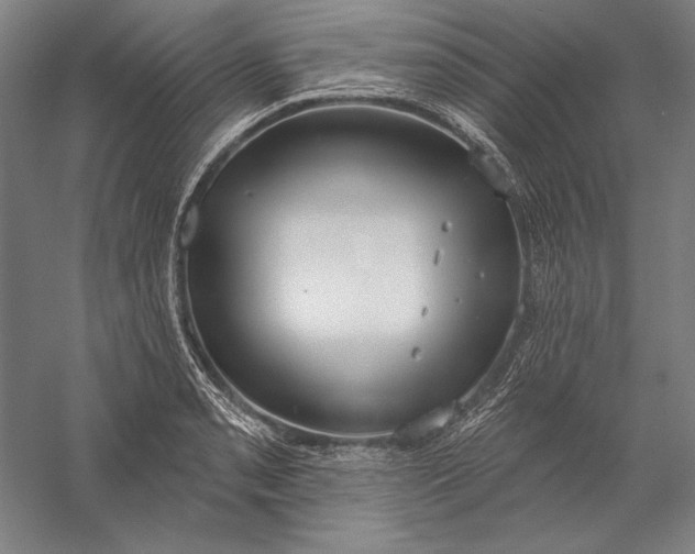 X0000056351085200509091550